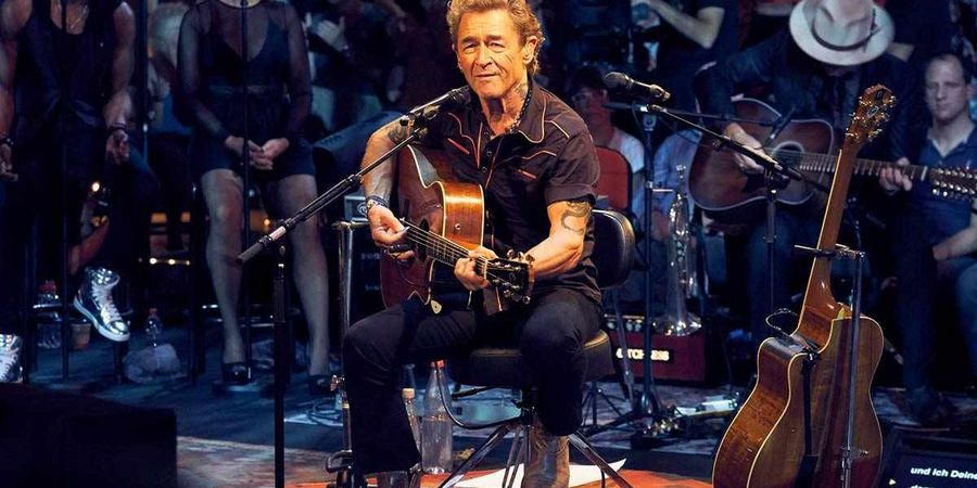 Peter Maffay, Künstler, Unternehmer und sozialer Botschafter