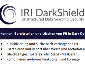 Datenmissbrauch verhindern - Sensible Daten in Cloud-Datenbank finden und Datenmaskierung in JSON, PDF, Bild oder MS-Dokumenten