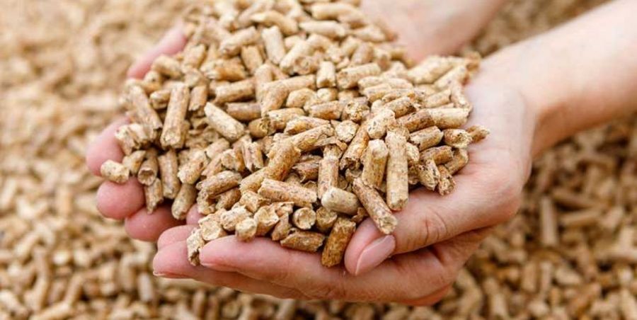 Holzkontor und Pelletierwerk Schwedt Holzpellets