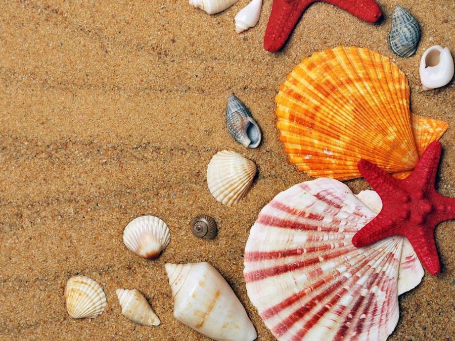 Unbezahlter Urlaub: Das müssen Sie dazu wissen Unbezahlter Urlaub: Das müssen Sie dazu wissen
