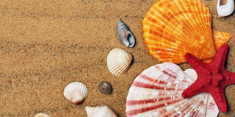Unbezahlter Urlaub: Das müssen Sie dazu wissen