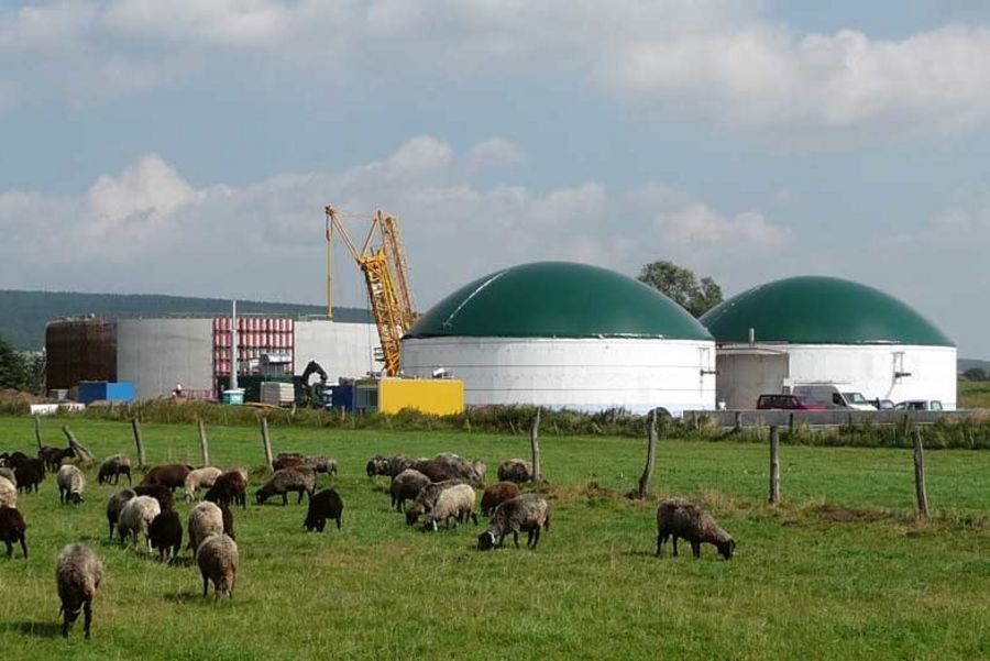 Stadtwerke Springe Biogasanlage ´Schwarzer Koppelweg`