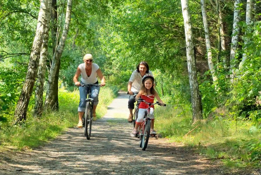 Bio-Seehotel Zeulenroda Freizeitaktivitäten