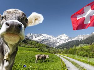 Business Facts Schweiz – Leben und Arbeiten in der Schweiz