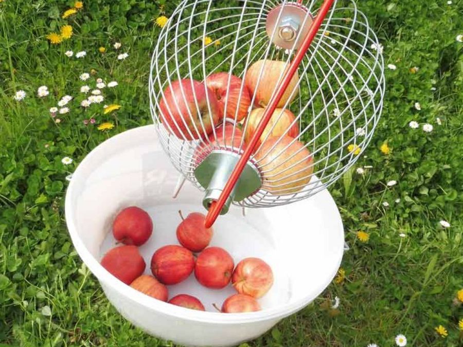 Feucht Obsttechnik Apfelrollsammler