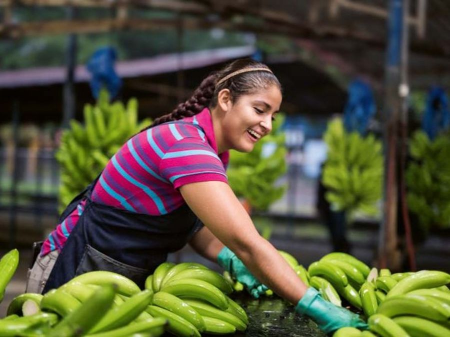 Fyffes International Bananen