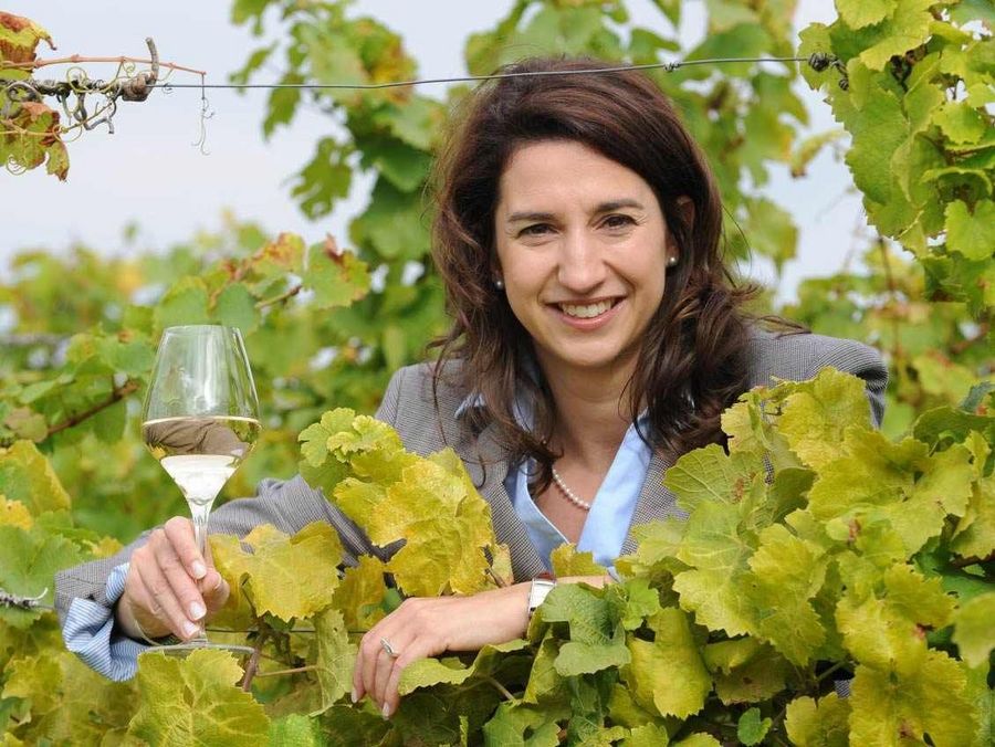 Kurzfristiges Denken funktioniert auf Dauer im Weinbau nicht