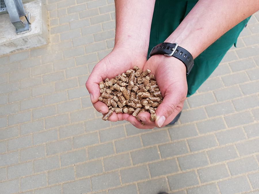 Die Pellets von HPS zeichnen sich durch eine typische dunkle Farbe aus. Sie bestehen vor allem aus Spänen aus regionalen Kiefern.