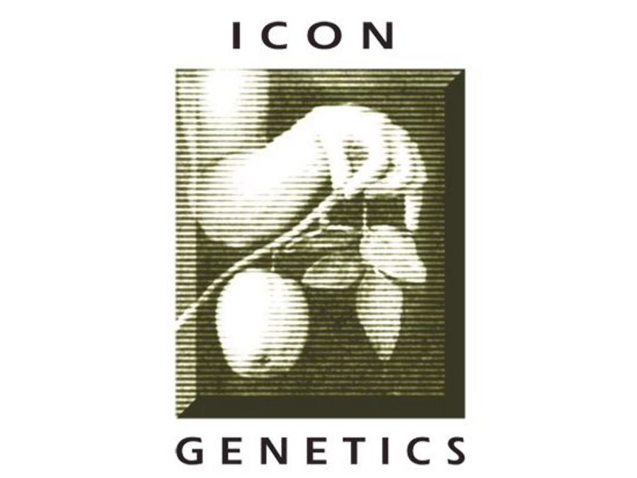 Icon Genetics GmbH