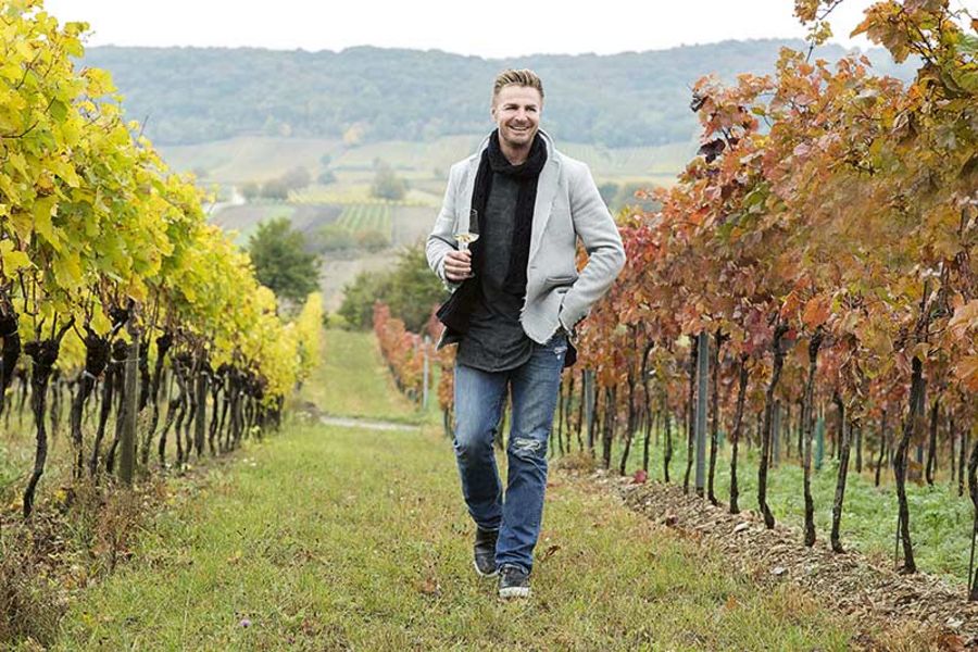 Leo Hillinger in seinen Weingärten