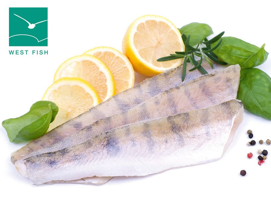 Ganzjährig Saison für Fisch