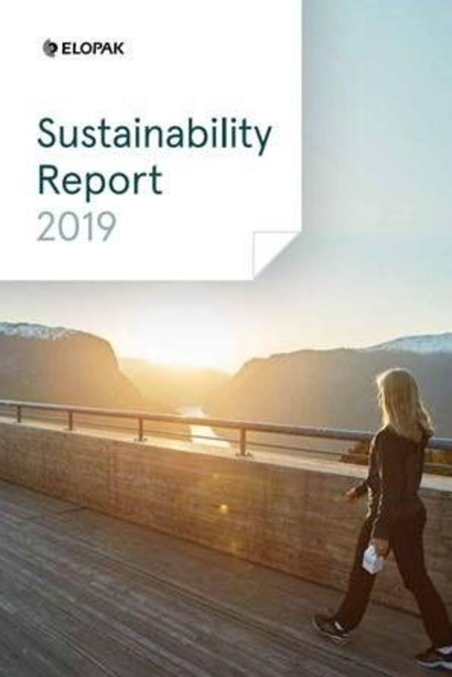 Sustainaility Report 2019