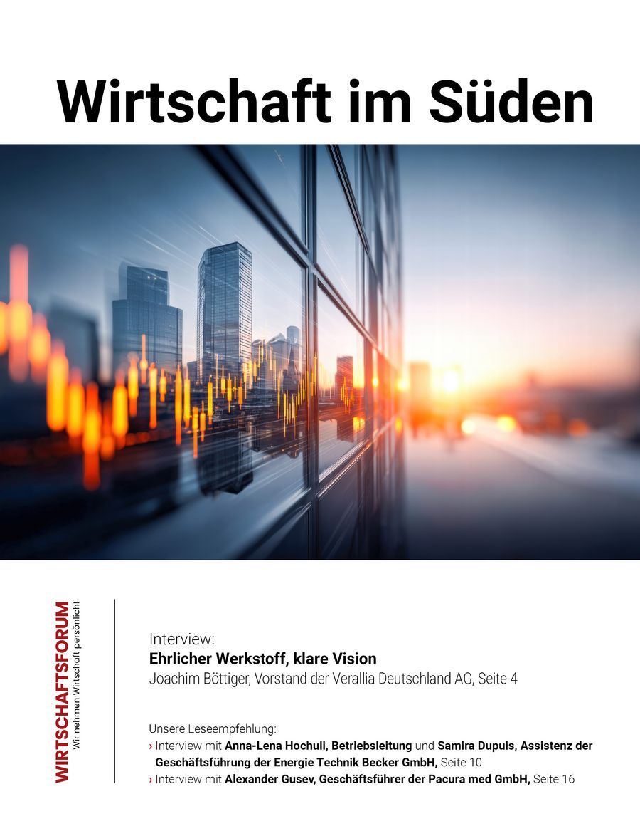 ePaper Wirtschaft im Süden 31