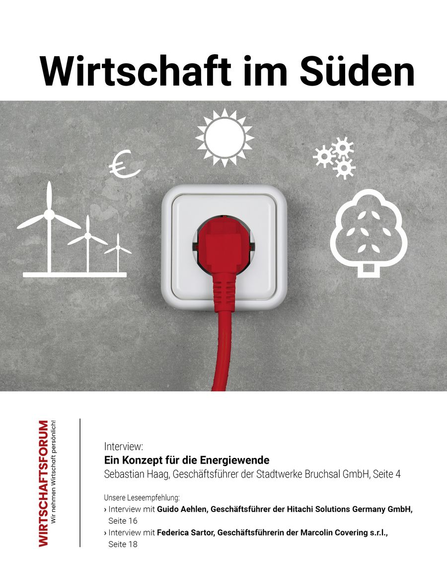 ePaper Wirtschaft im Süden 30
