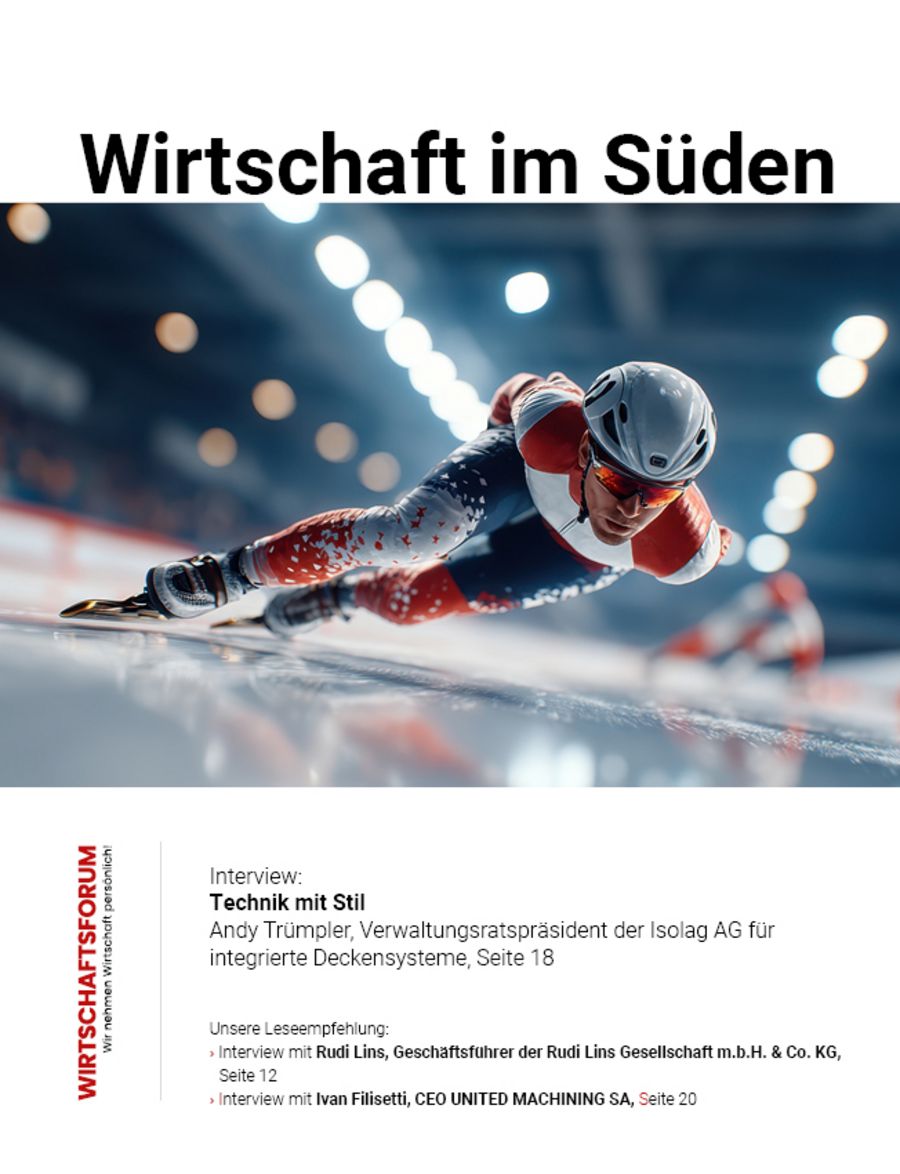 ePaper Wirtschaft im Süden 33