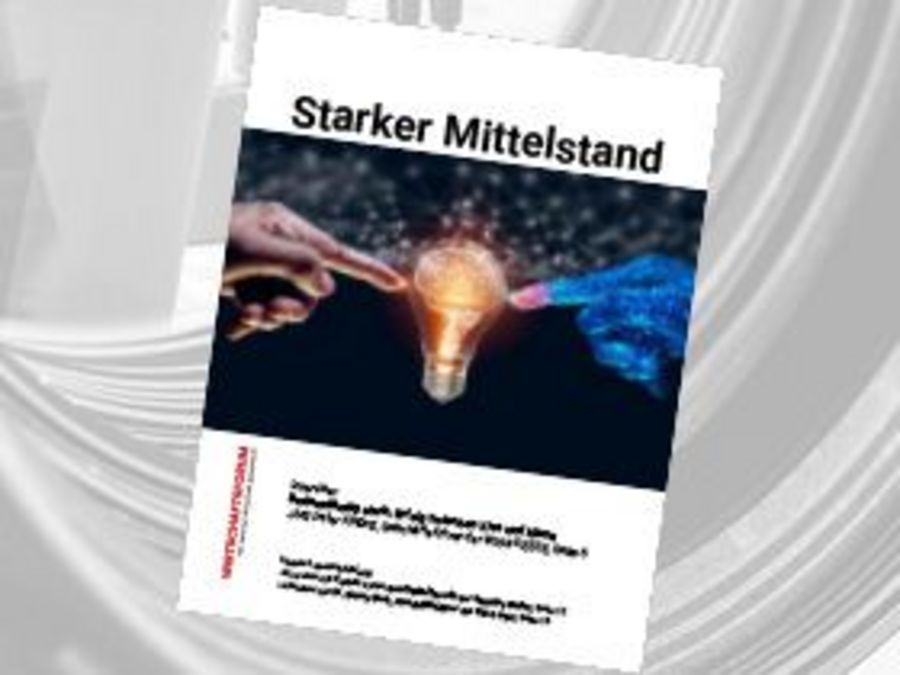 Starker Mittelstand 30