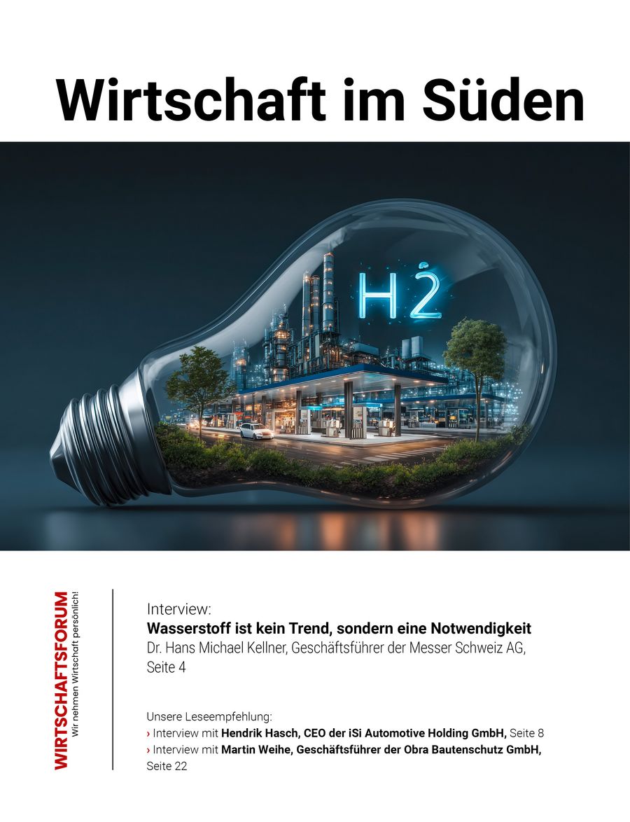 ePaper Wirtschaft im Süden 33