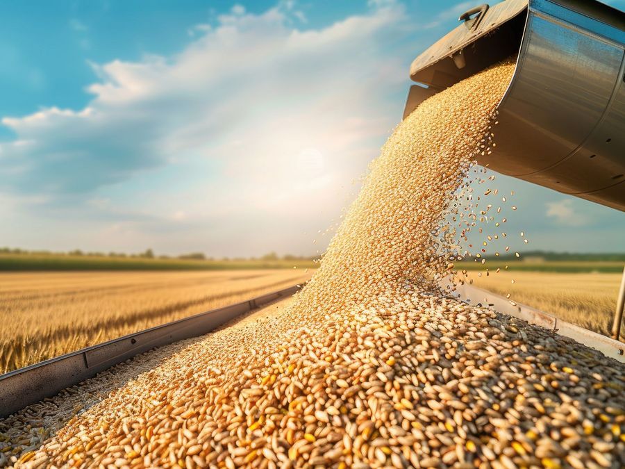 Effiziente Transportlösungen: Automatisierung und Innovation in industriellen und landwirtschaftlichen Anwendungen