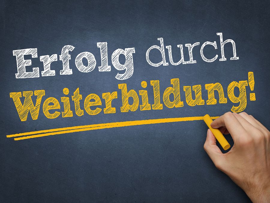 Mitarbeiter fordern und fördern: Diese Wege unterstützen das Unternehmen effektiv