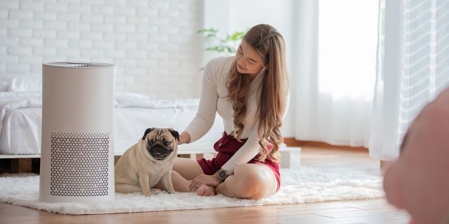 AdobeStock_327464719 AdobeStock_327464719