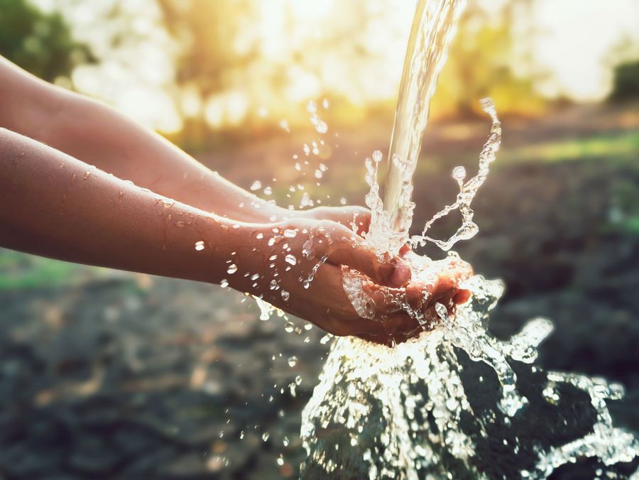 Fabio Hüther: Der Unternehmer hinter der Marke Evodrop