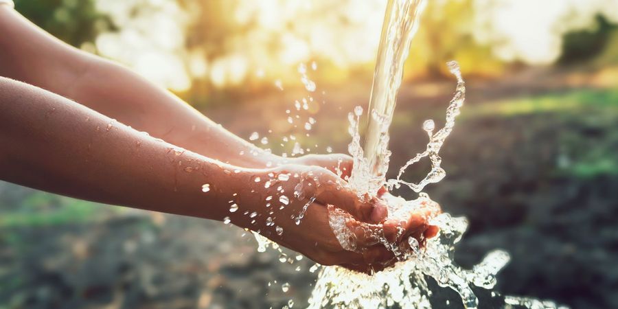 AdobeStock_310407095