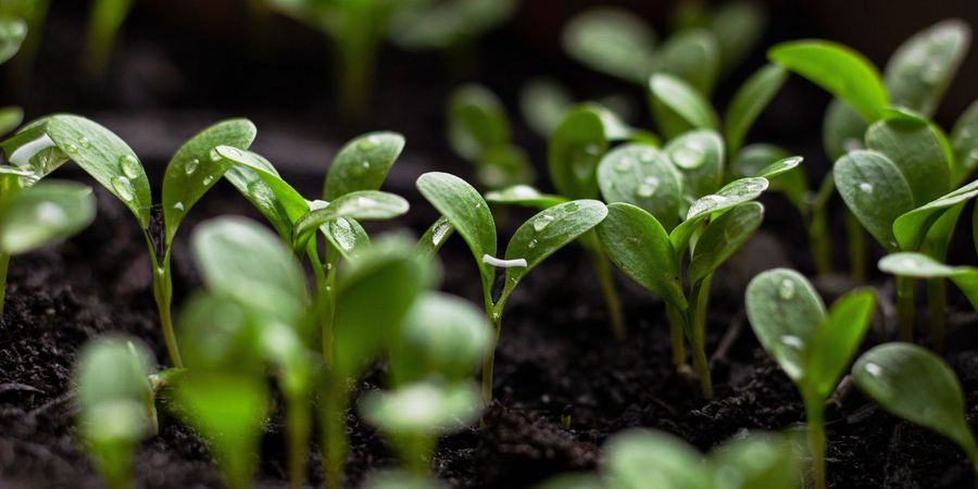 Bild von onehundredseventyfive auf Pixabay Bild von onehundredseventyfive auf Pixabay