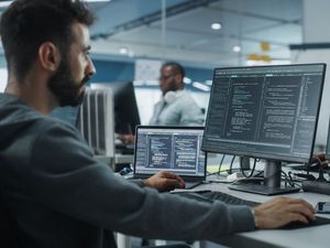 Behörden-Digitalisierung: Chancen für IT-Dienstleister in Deutschland