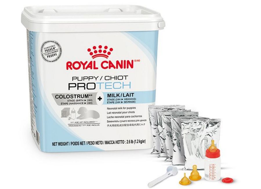 Royal Ccanin Protech Welpennahrung