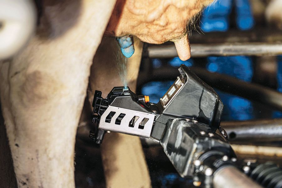 DeLaval GesmbH Zitzendesinfektionsmittel OceanBlu™