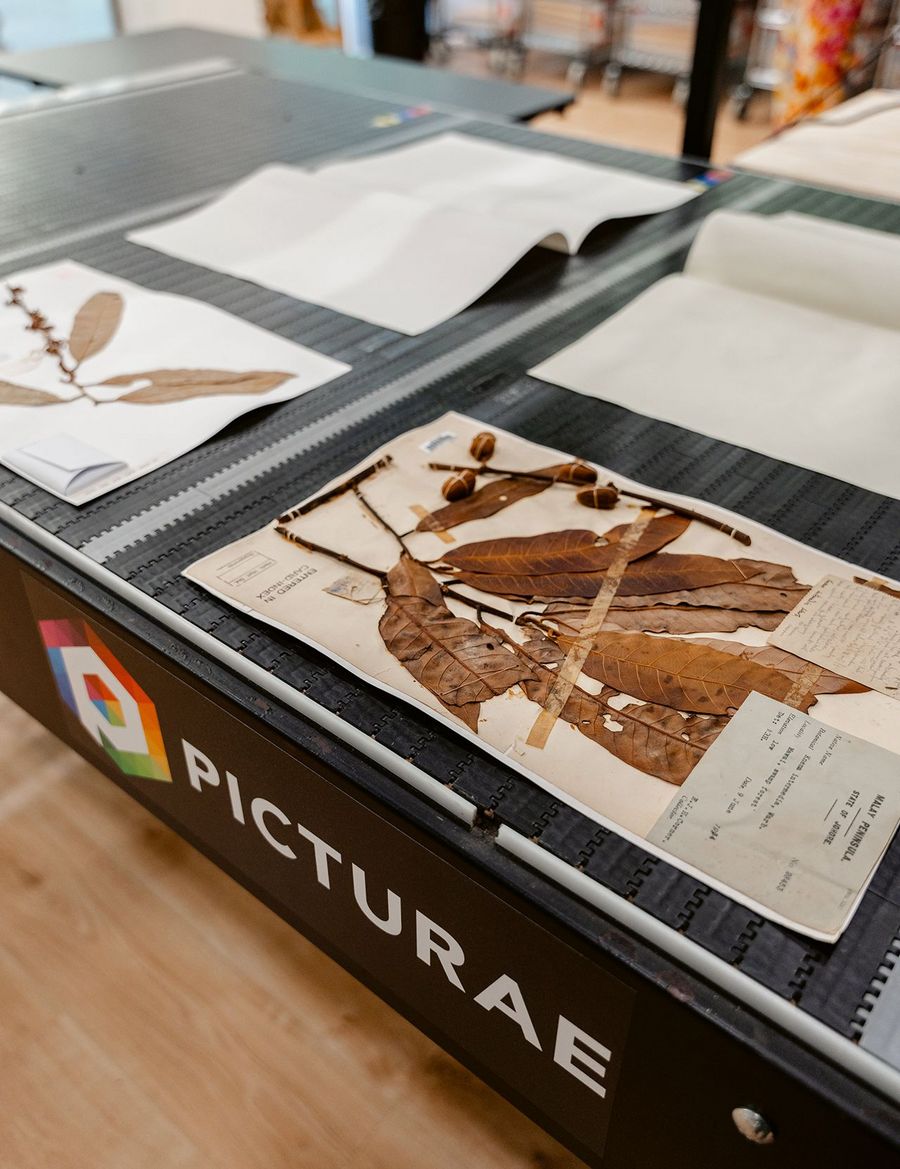 Picturae Holding B.V. automatisiertes Herbarium-System Picturae Holding B.V. automatisiertes Herbarium-System