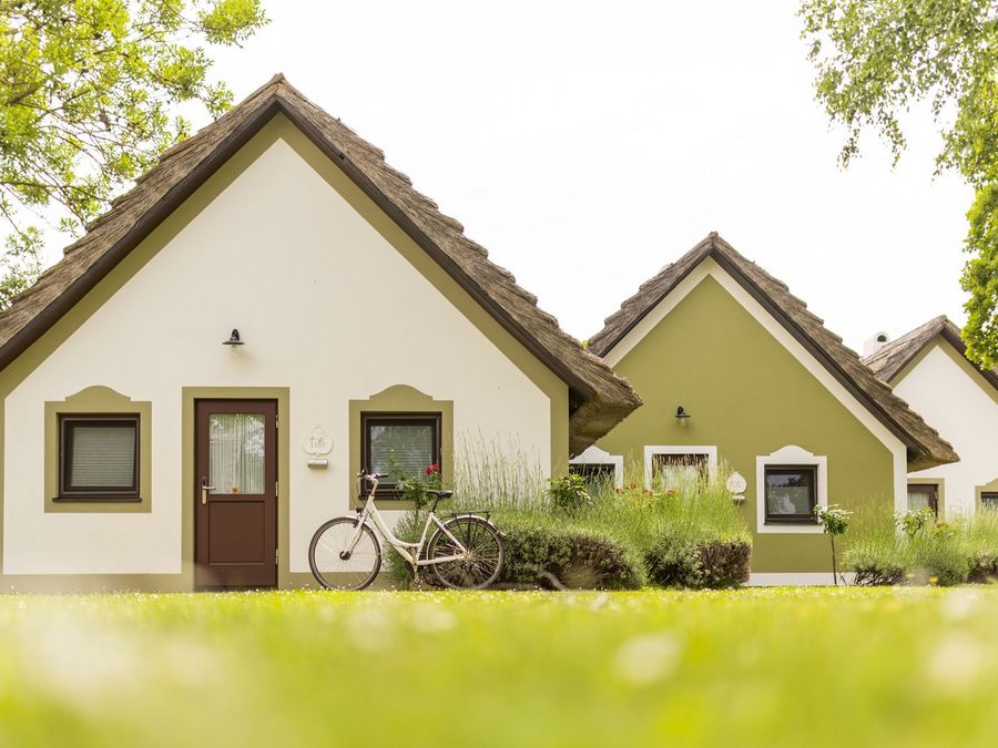 Natur, Nachhaltigkeit und neue Märkte