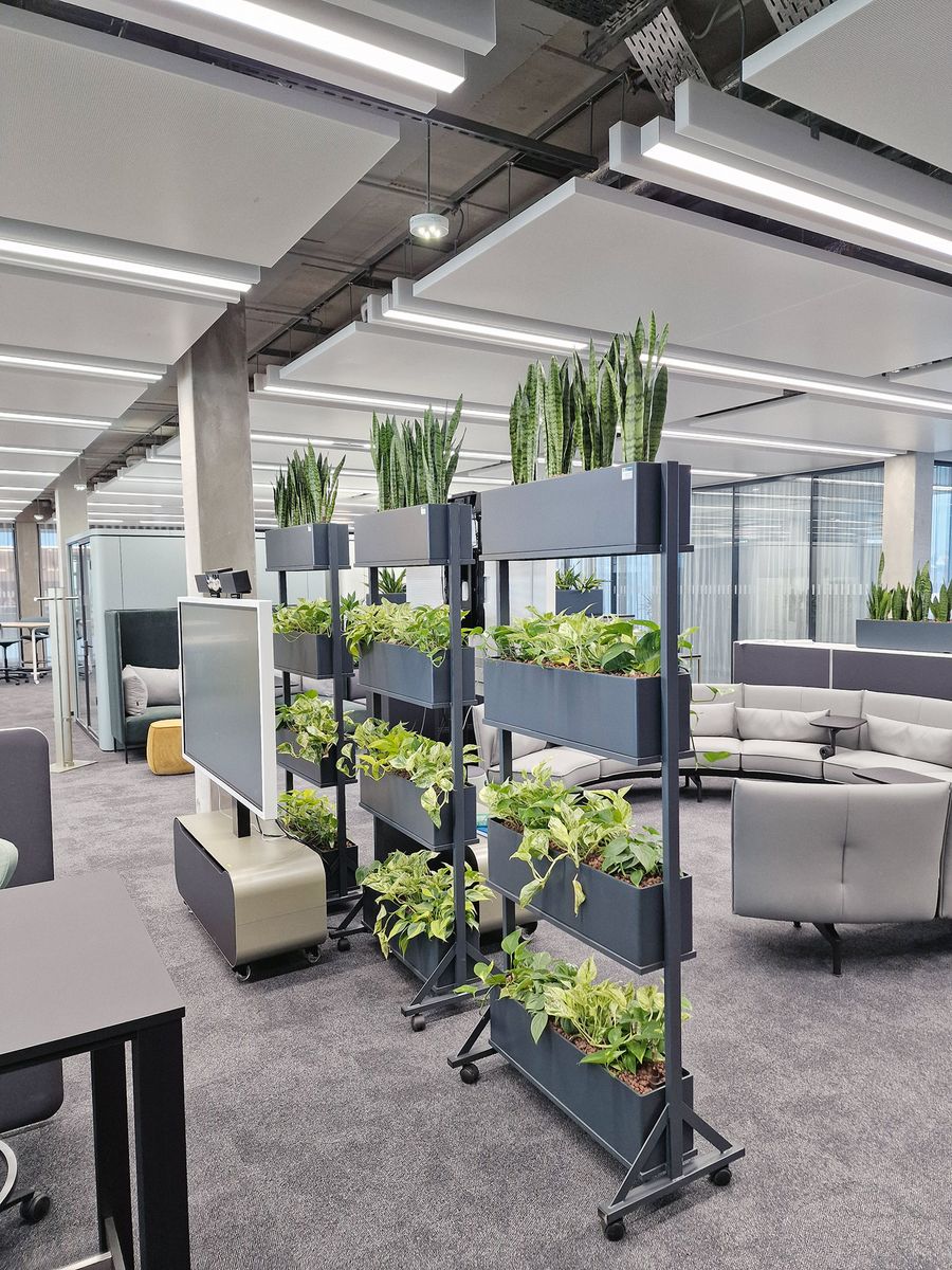 Mohr Hydrokultur Mobile Bepflanzung