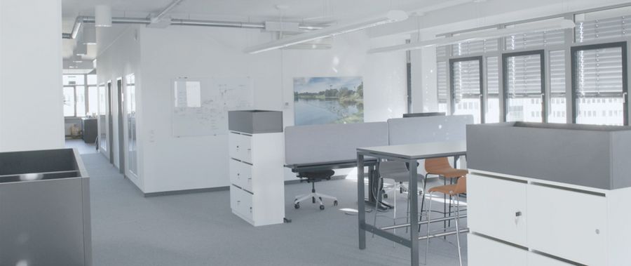 Mohr Hydrokultur voher