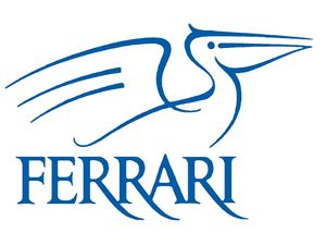 Ferrari Logistics Germany GmbH