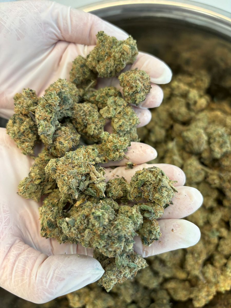 ps-pharma-service-gmbh-cannabis