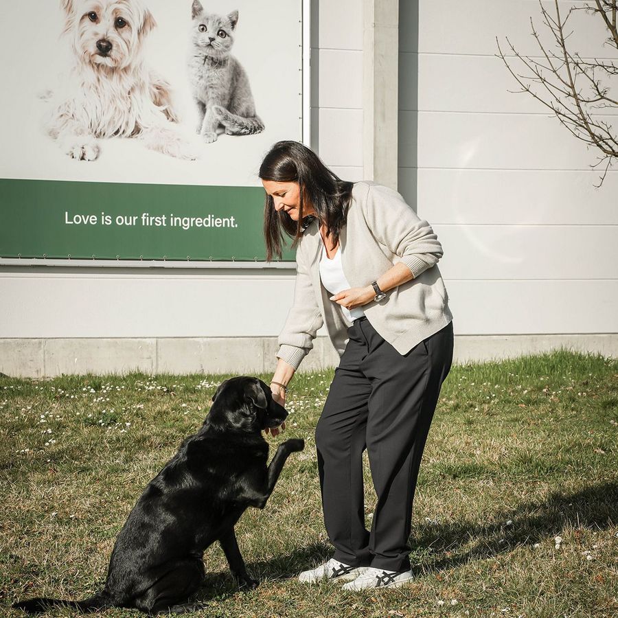 F&F Pet Food GmbH Hund F&F Pet Food GmbH Hund