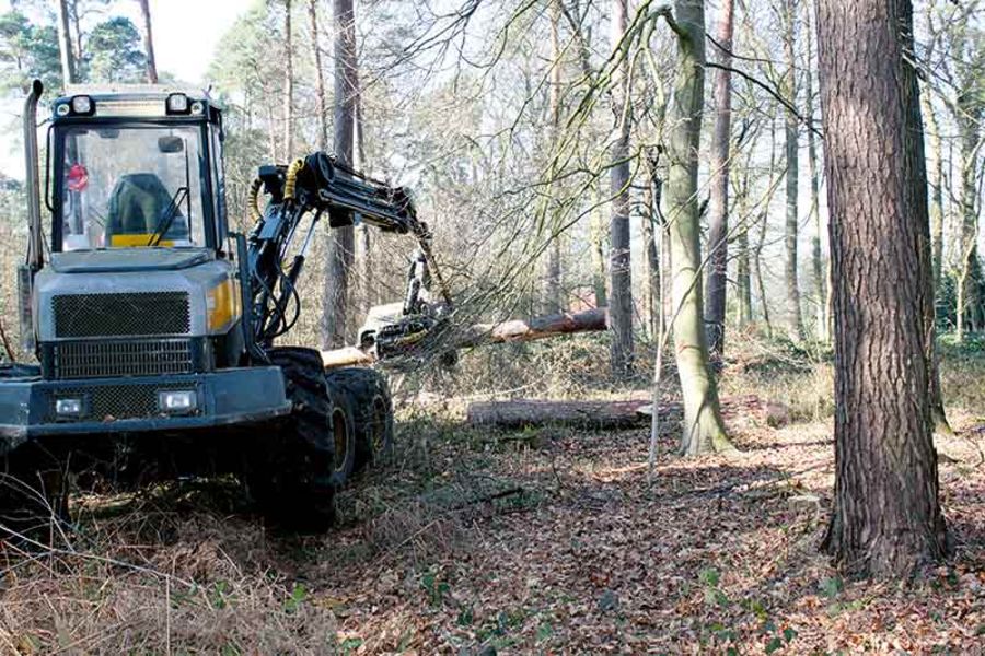 Josef Winkelheide GmbH Holz schlagen