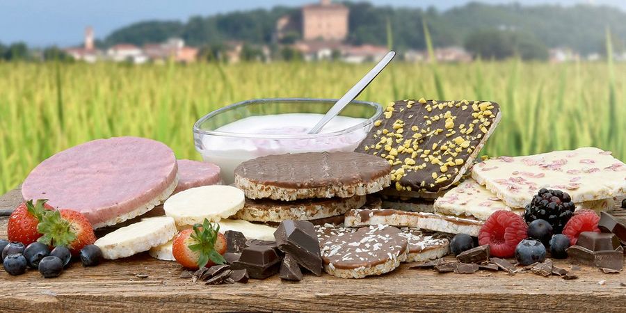 SanoRice Holding B.V. Innovation SanoRice Holding B.V. Innovation