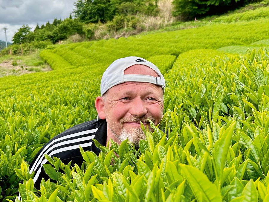 Teehandel mit Weitblick