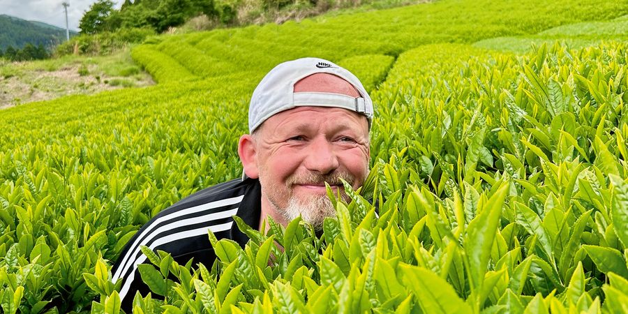 The Tea Company GmbH & Co. KG Portrait The Tea Company GmbH & Co. KG Portrait