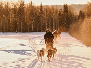 Jung, dynamisch, enthusiastisch