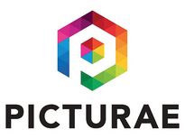 Picturae Holding B.V.