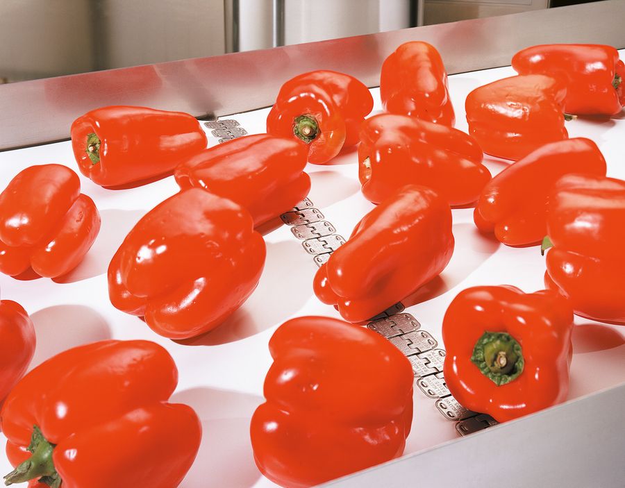 Flexco Europe GmbH Lebensmittelindustrie