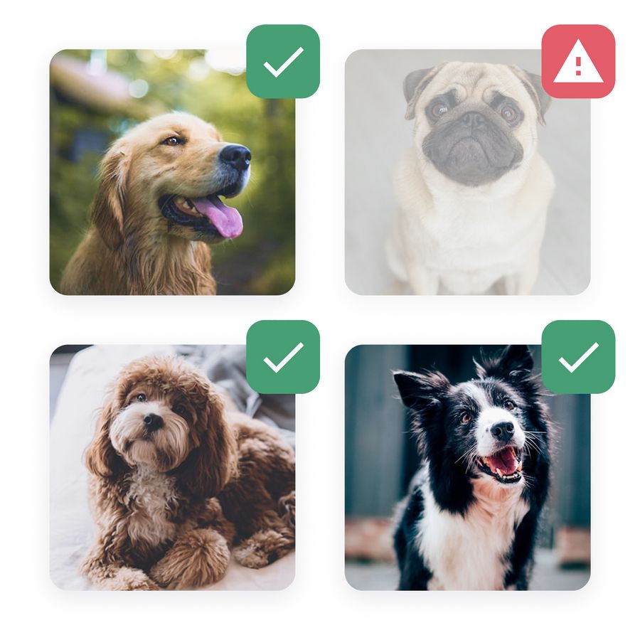 Deine Tierwelt GmbH Tierwohl Deine Tierwelt GmbH Tierwohl