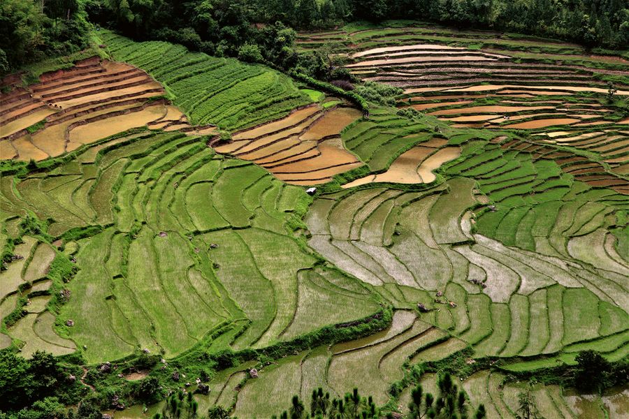 Zwei Marken, ein Anspruch – Genuss, der überzeugt