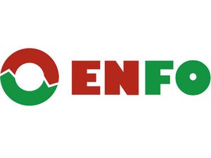 ENFO AG