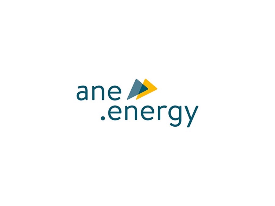 ANE GmbH & Co. KG
