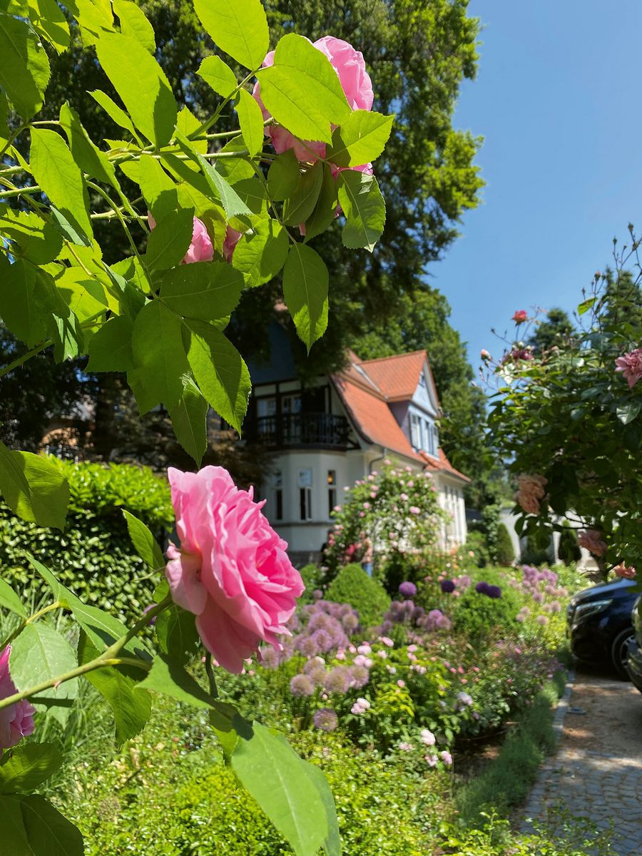 Rosenparkklinik GmbH Klink