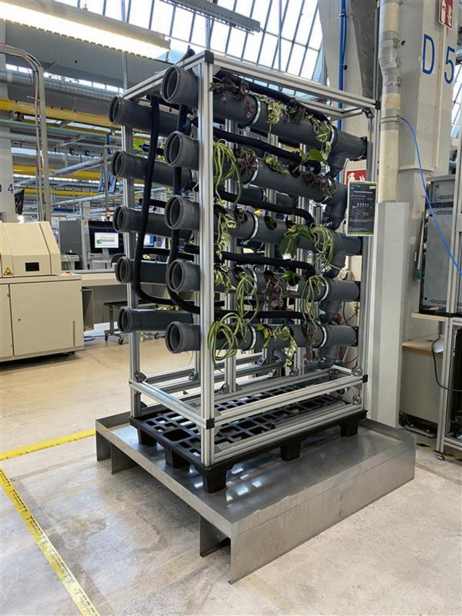 Ein Prototyp gegen trockene Luft: Pflanzen schaffen in der Produktion ein gutes Klima